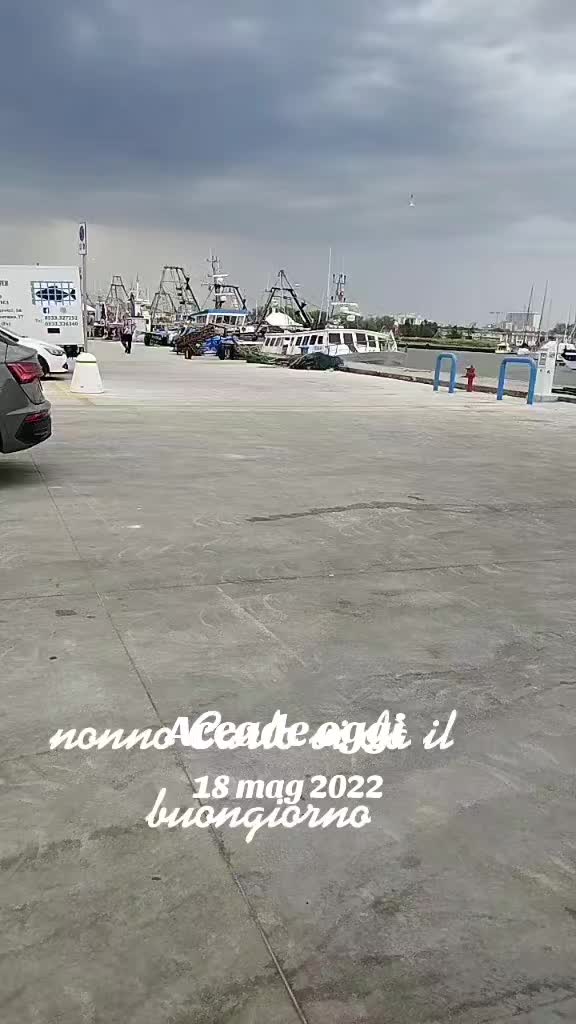 @cognato di regina