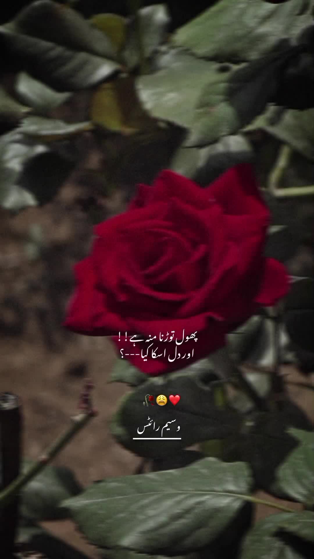 @𝙒𝘼𝙎𝙀𝙈❤️🩹