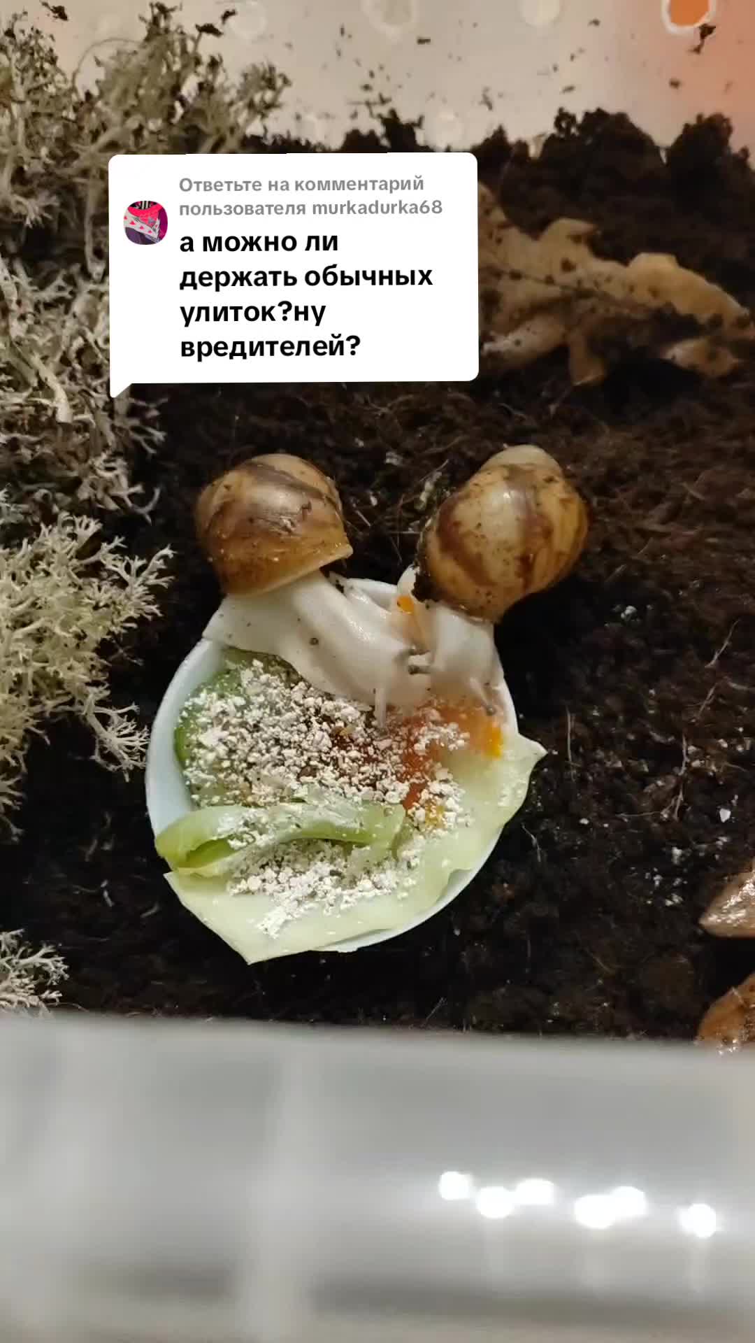 @angie🦋@