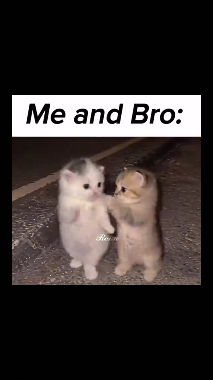 @isafastog