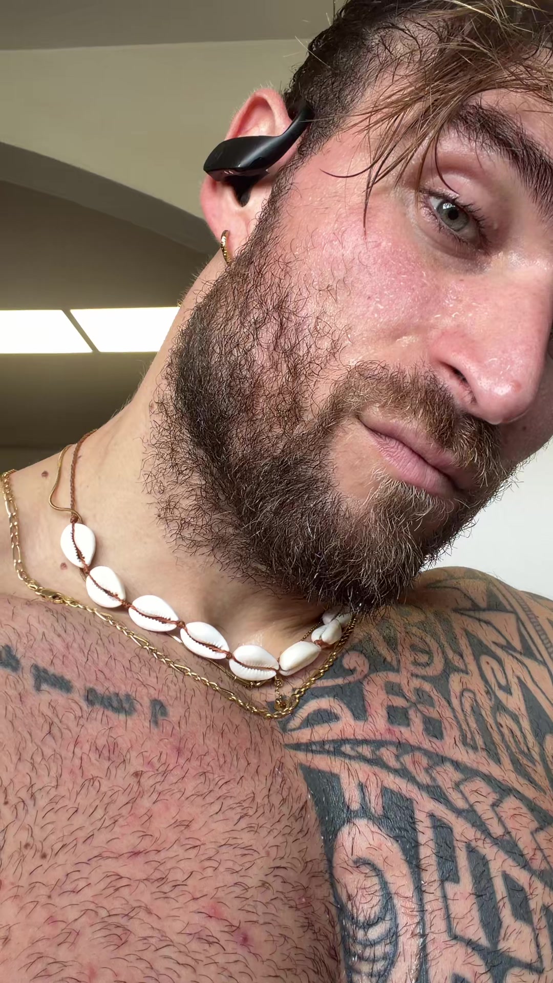 @dragospinato