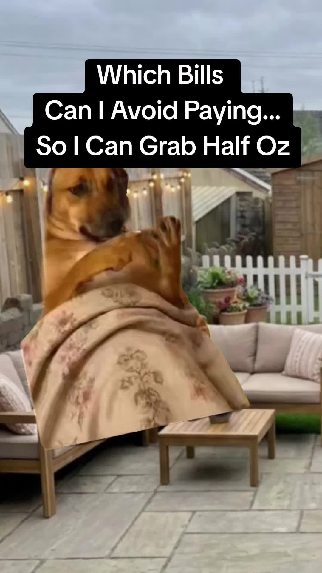 @MrCoalMan