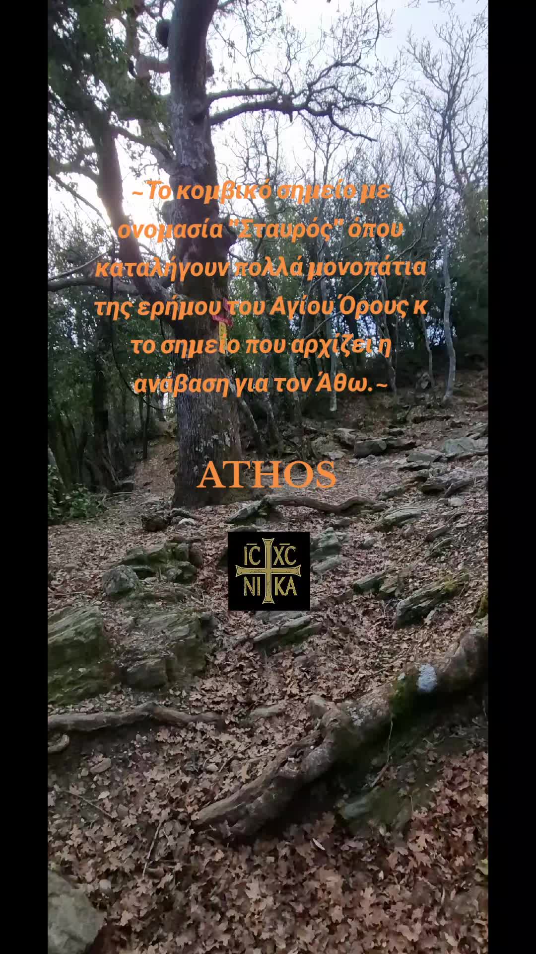 @ATHOS