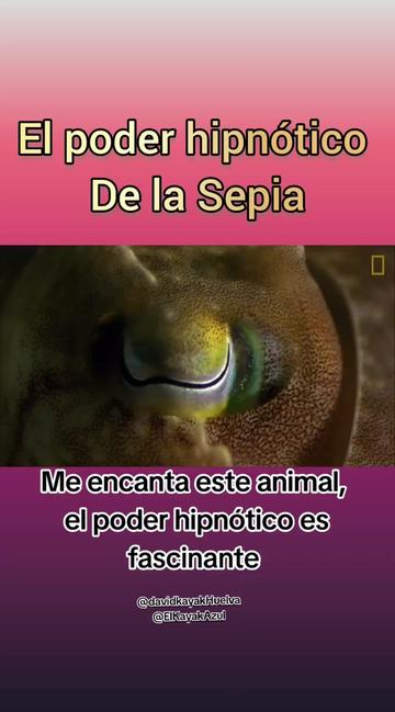 @Juan_Huelva