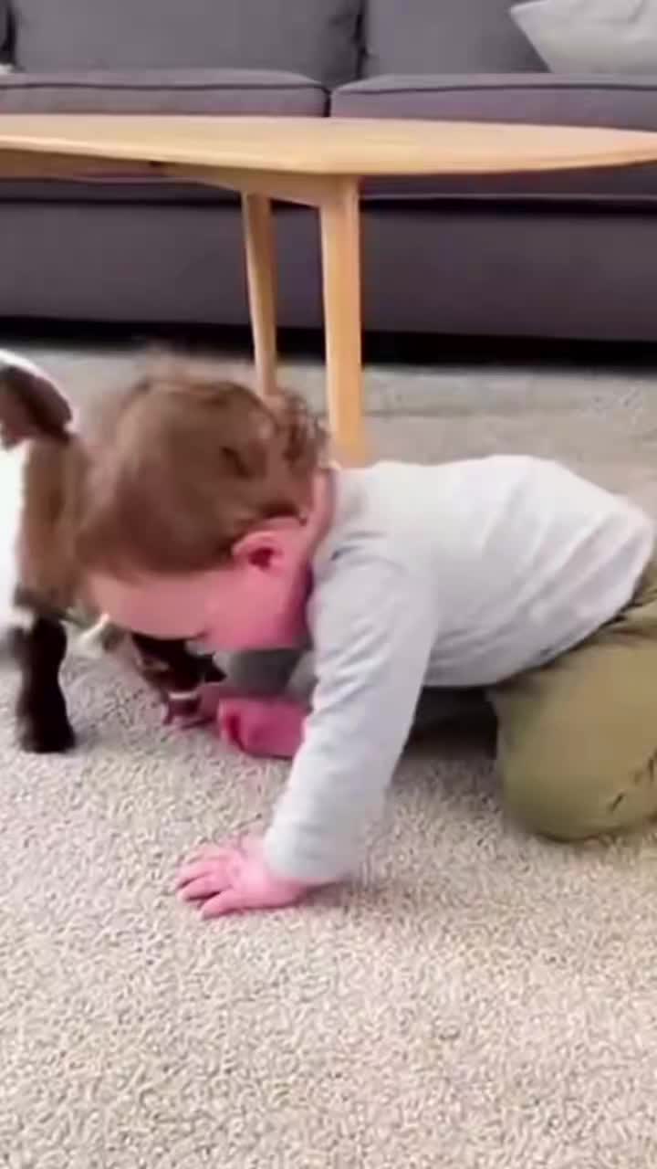 @Funnybabys😜😜