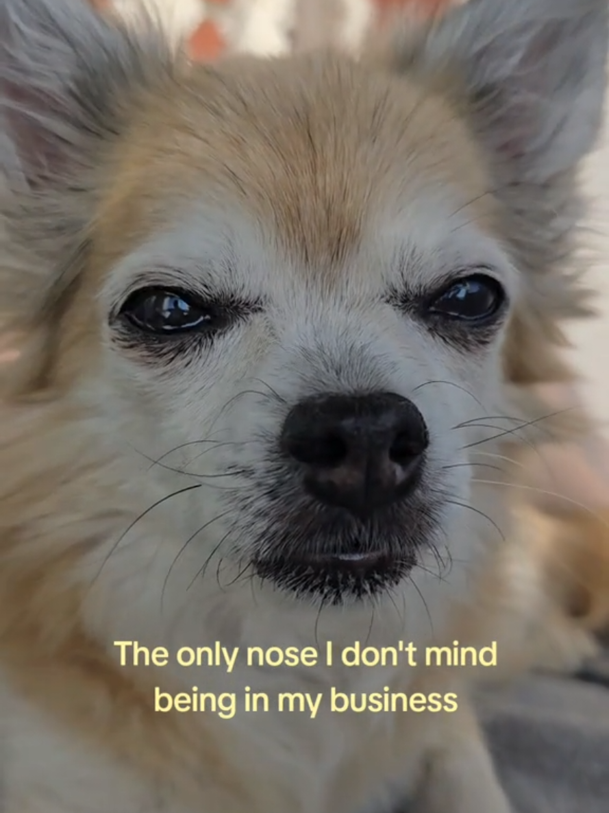 @Minna