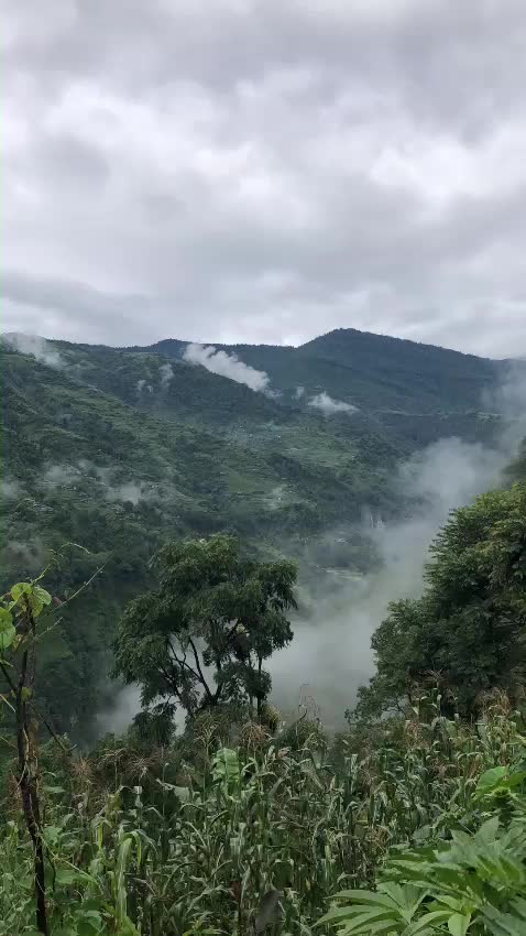 @Dallu🇳🇵🇦🇺