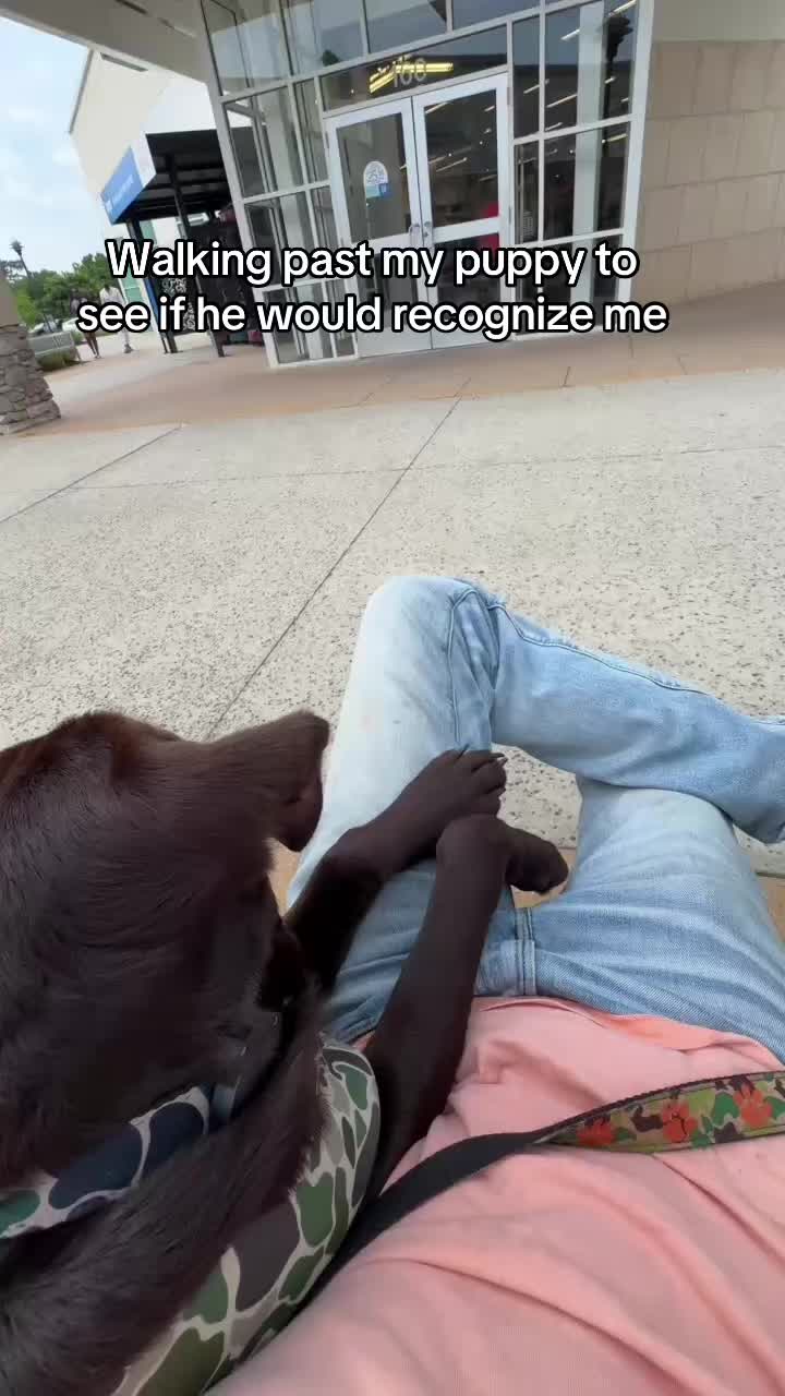 @moose the angel🕊️