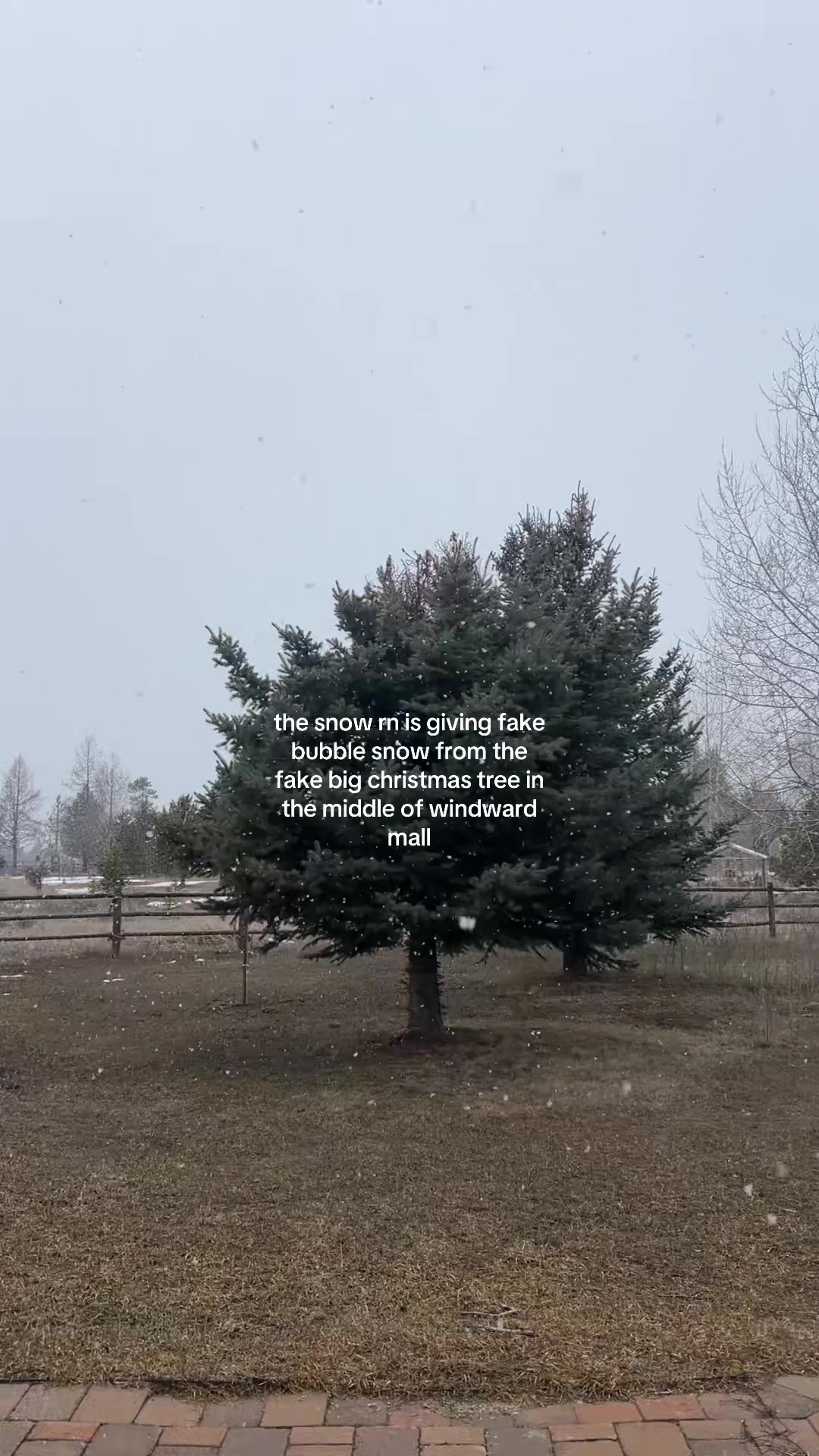 @kay