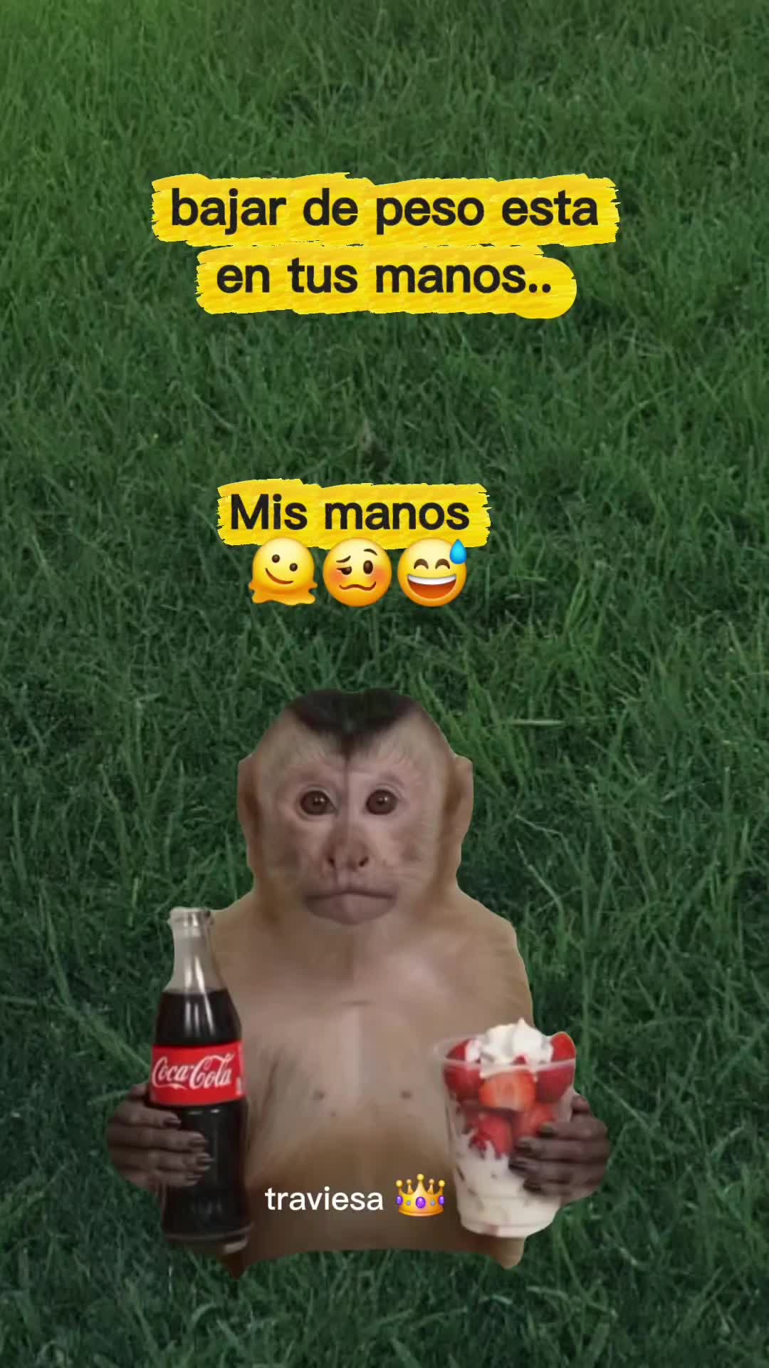 @Traviesa12👑