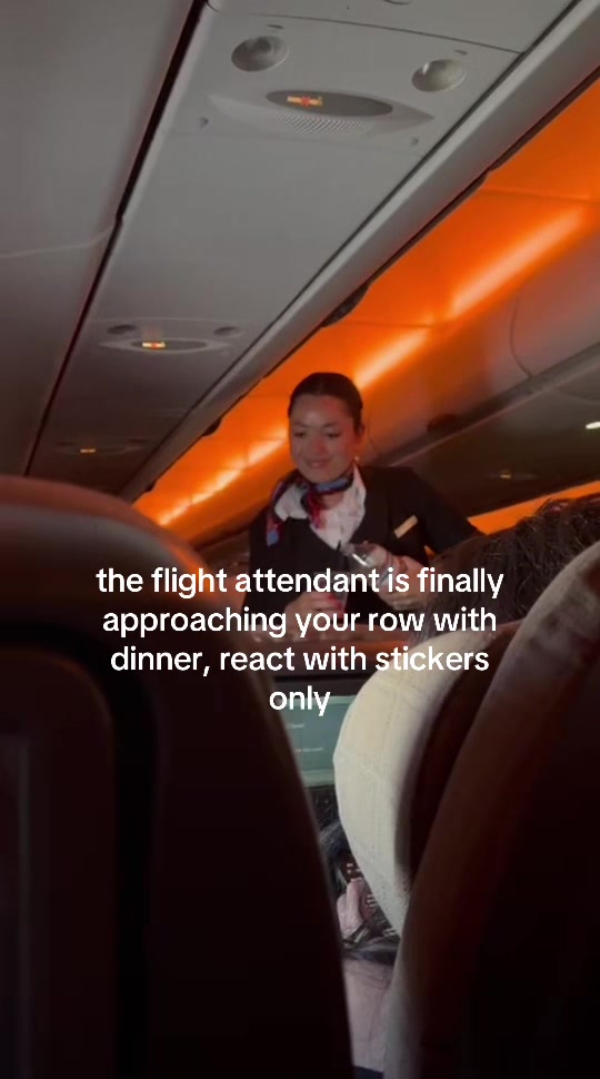 @mjcabincrew