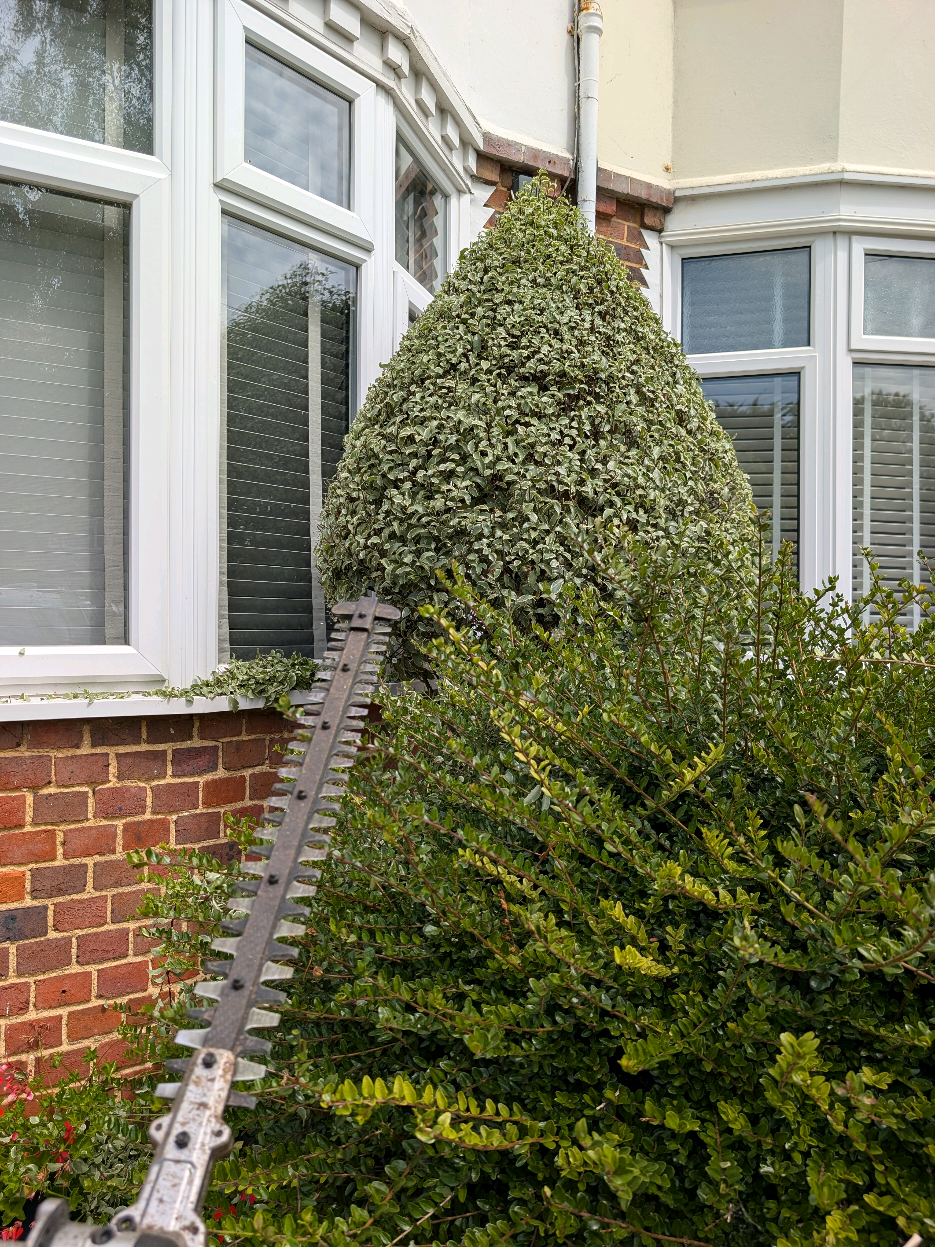 @Gary Hall Garden Services