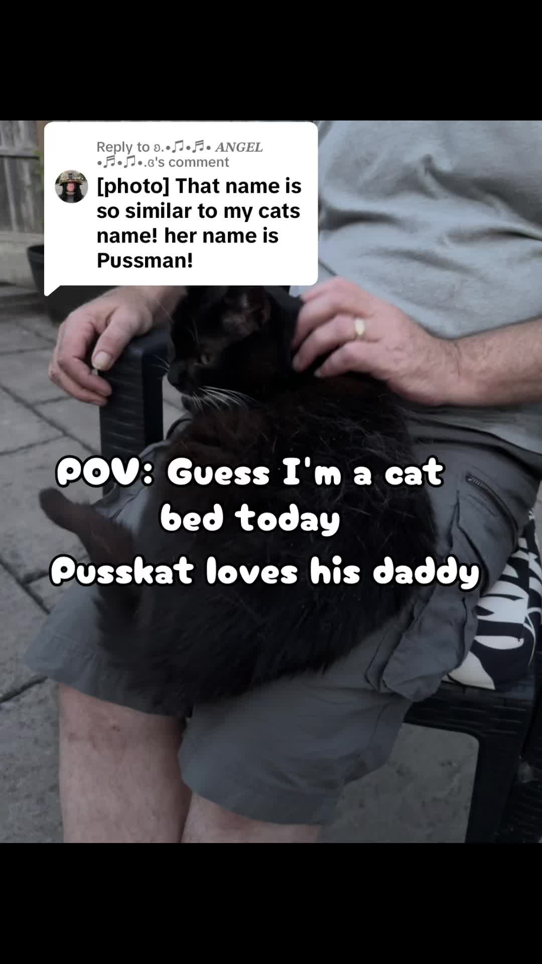 @crazycatladyxfour
