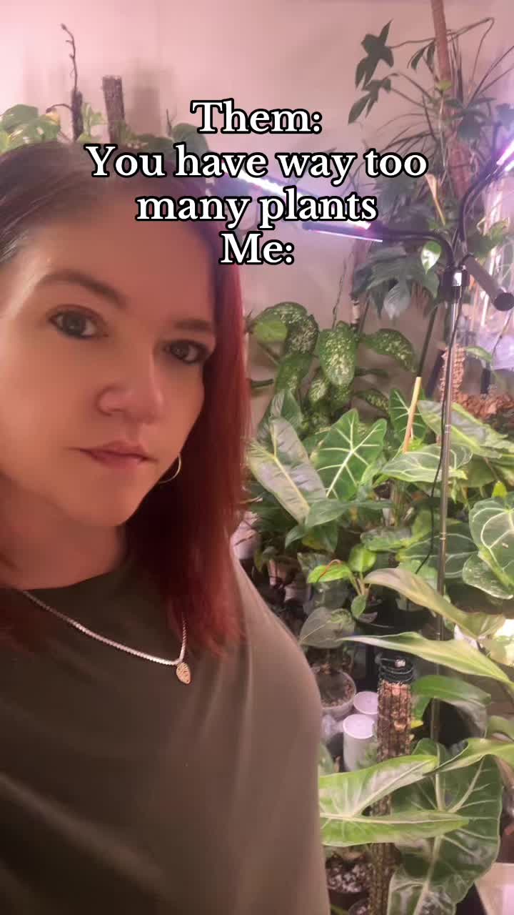@Krystina G7 Rodriguez