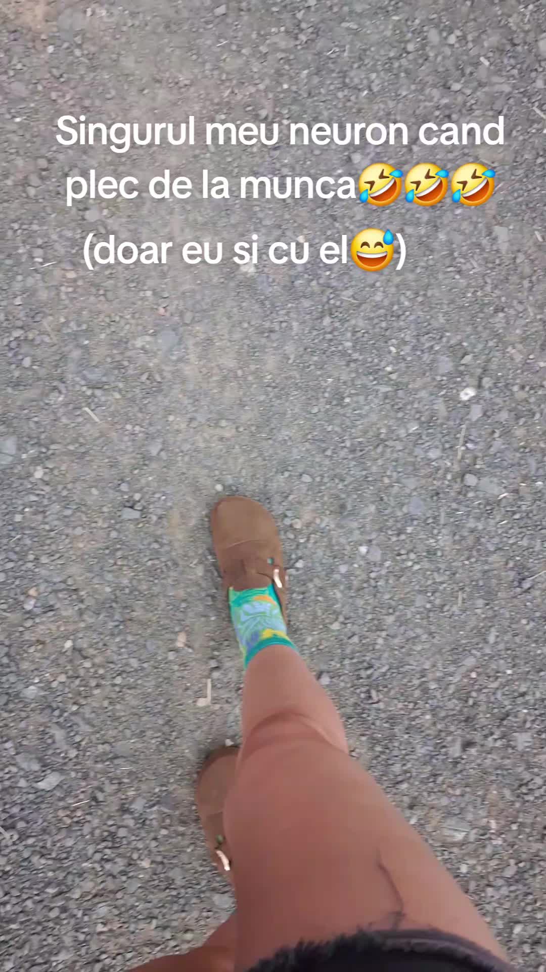 @alinanicoletamuti