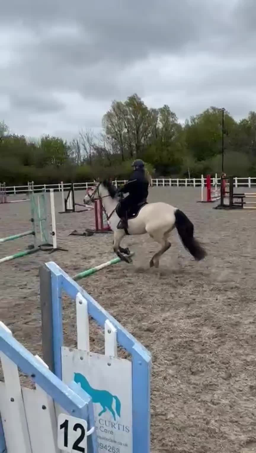 @ZB Equestrian