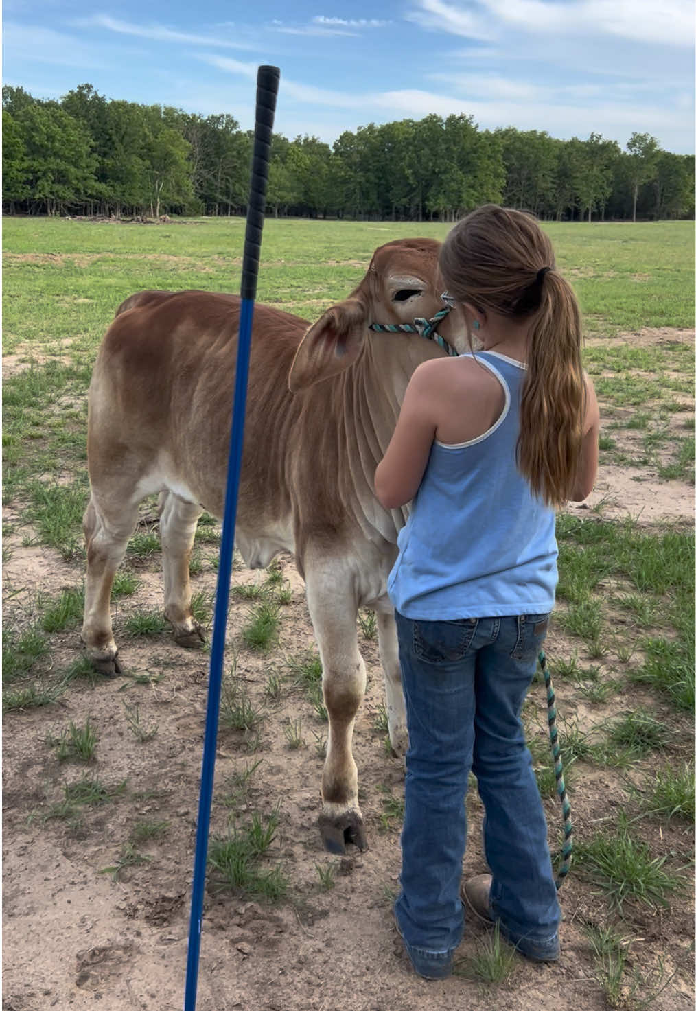 @The V6 Ranch