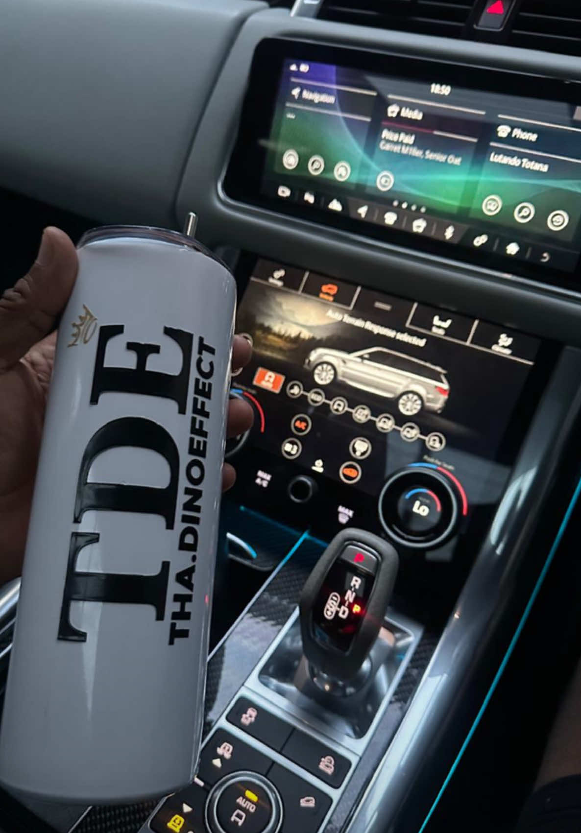 @Tha.DinoEffect