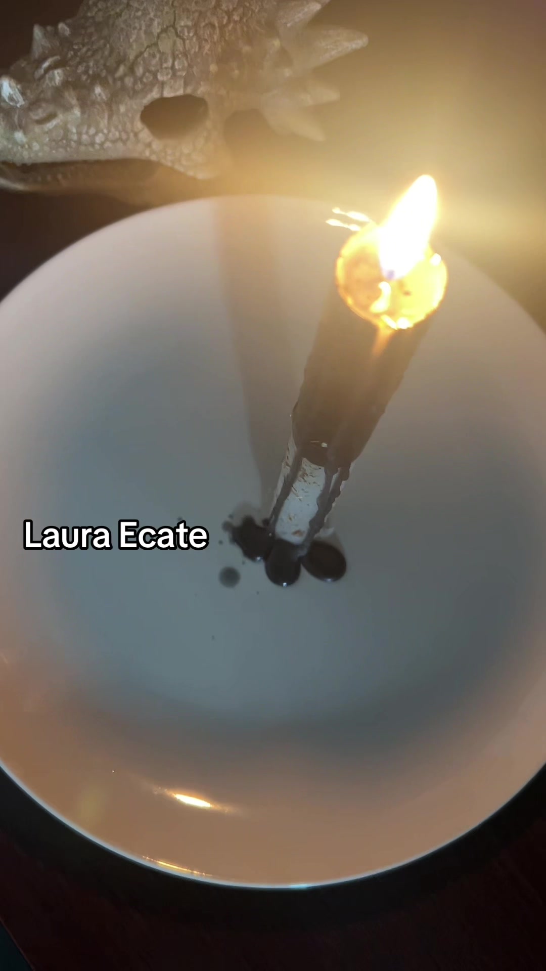 @Laura Ecate