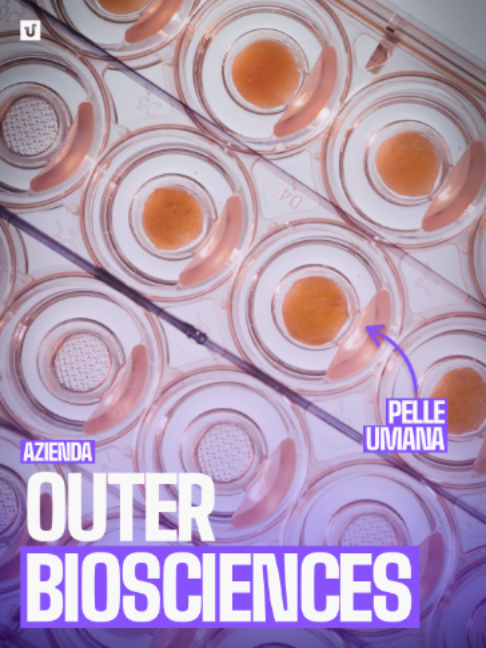 @Unitopia Media
