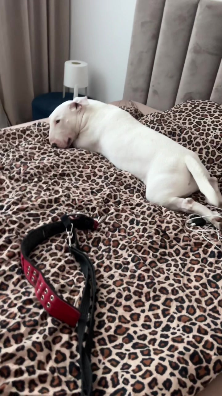 @IG : omoniaczek