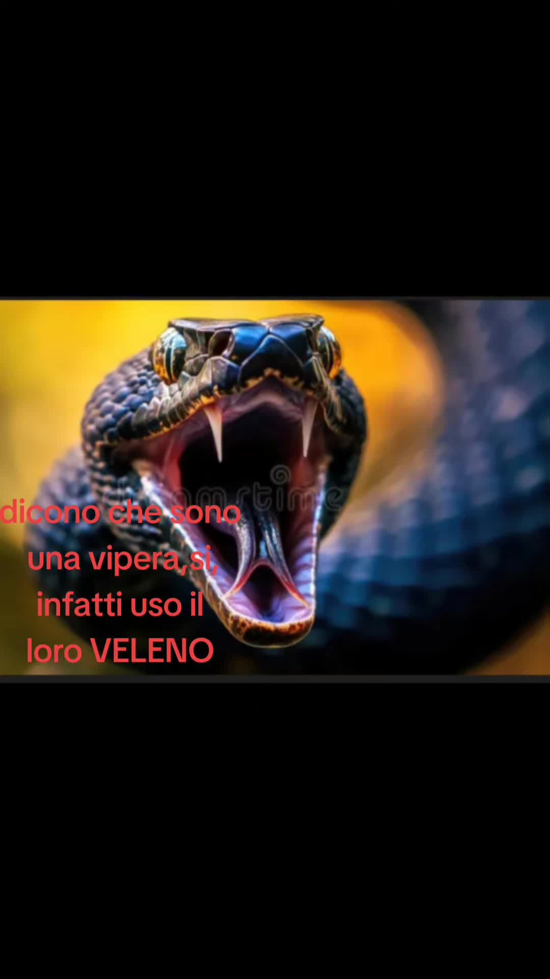 @la vipera