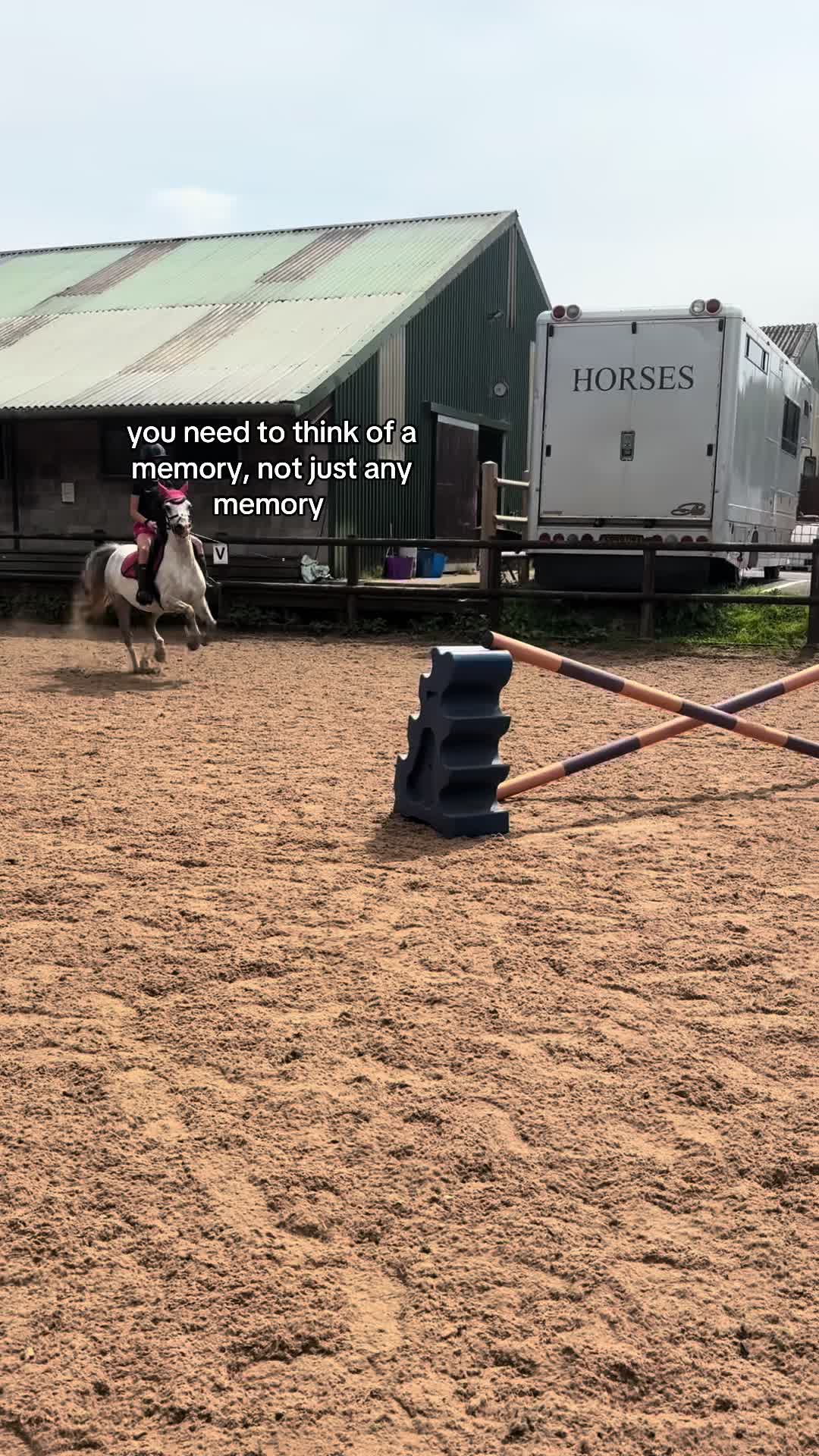 @poppy 🌾🐴 🇬🇧