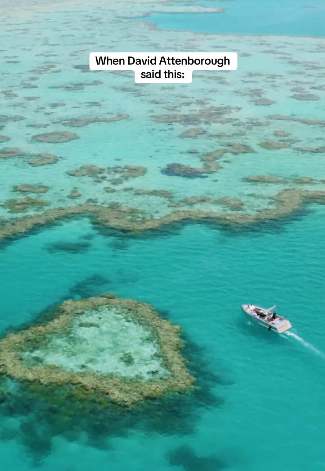 @Australia