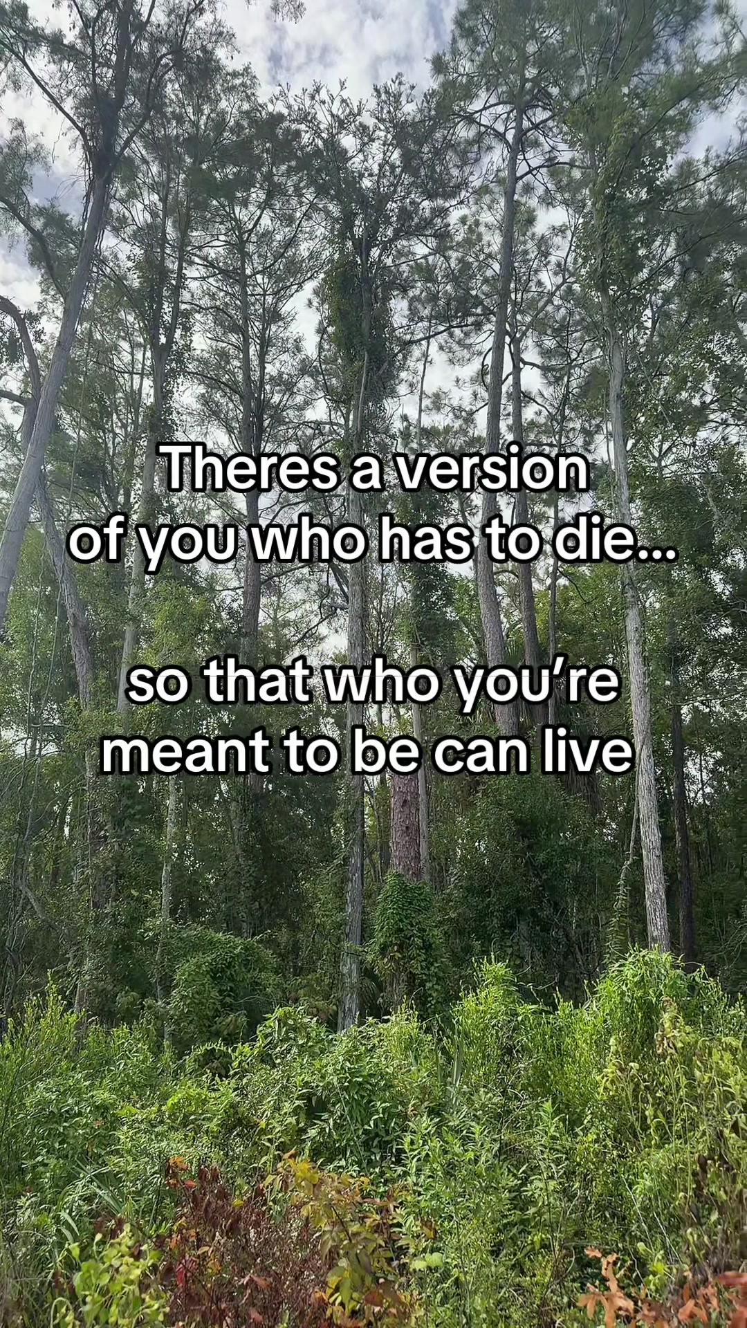 @Soulfuljilly•Life Coach/Tarot