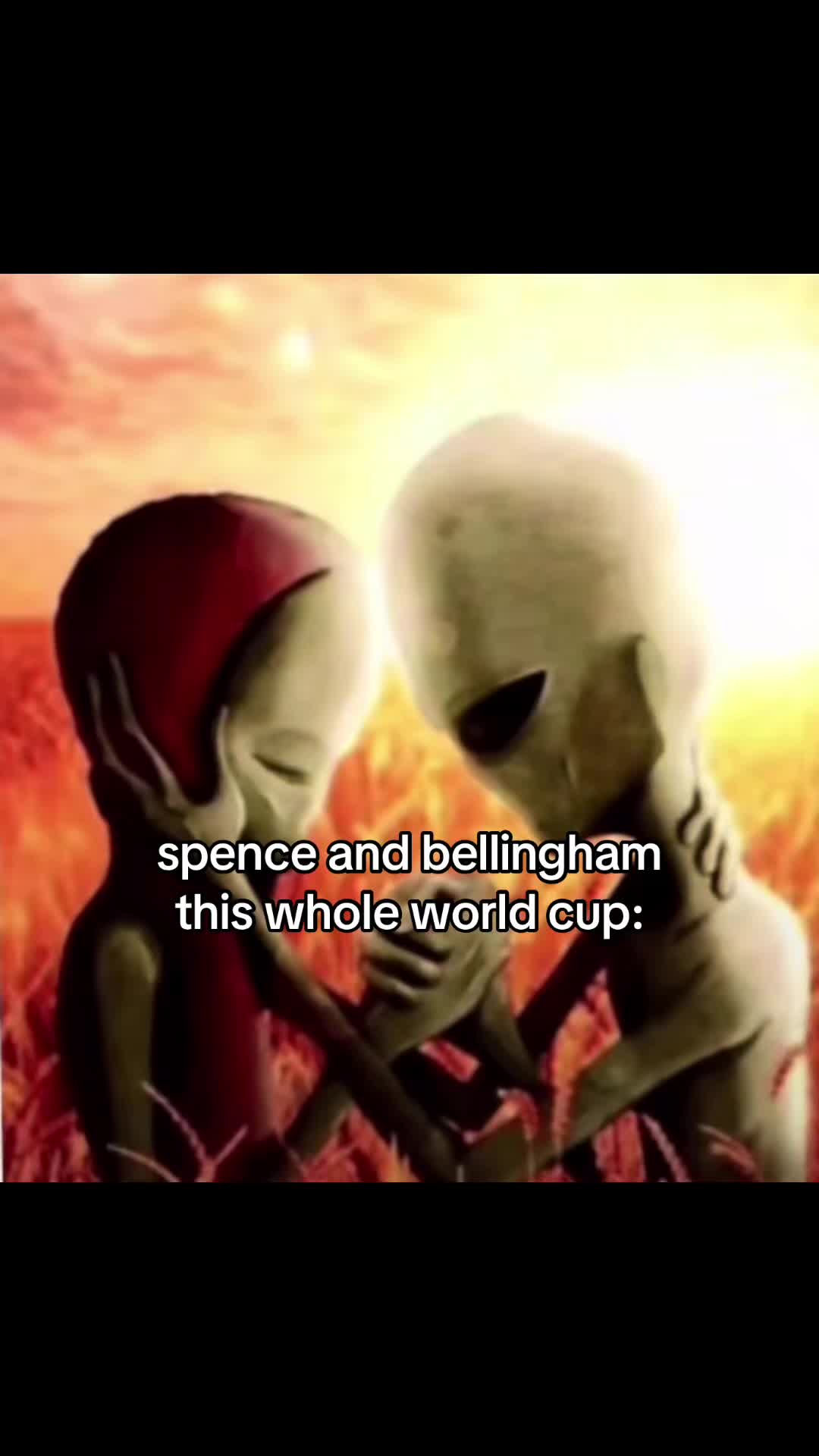 @✨