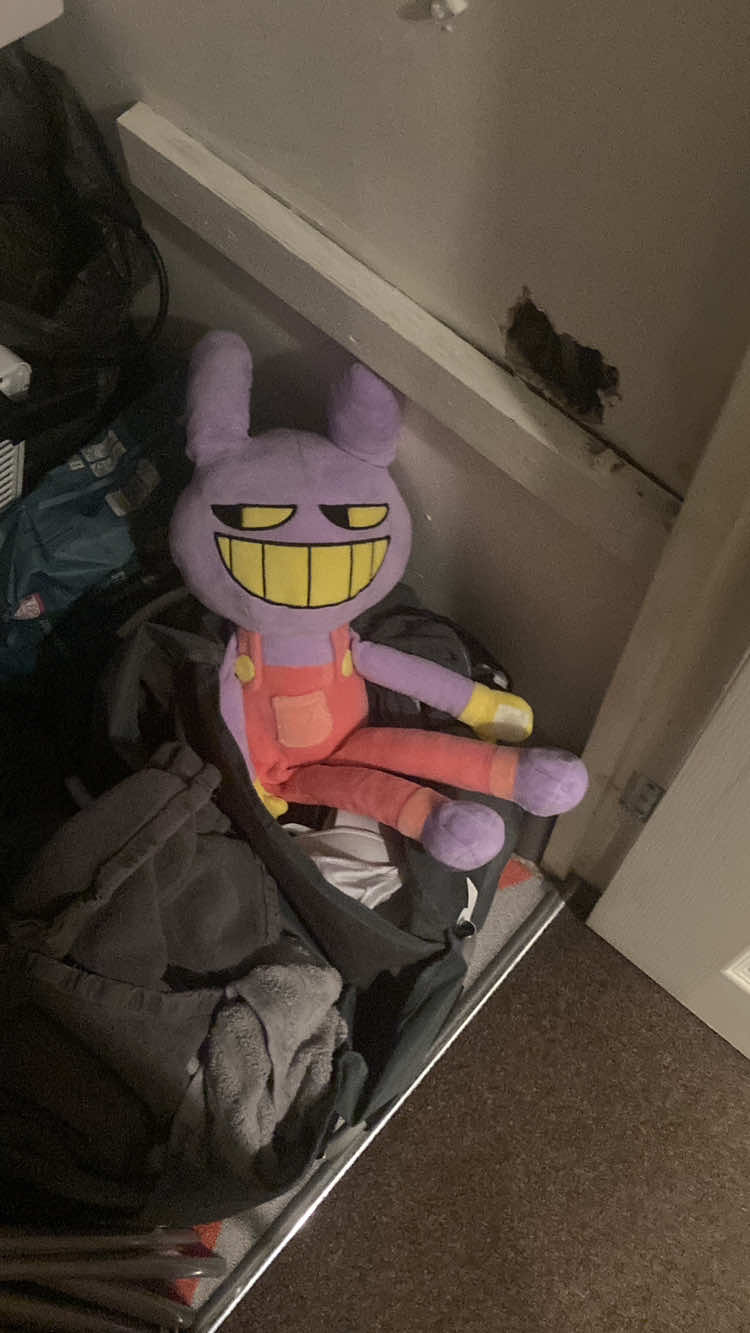 @noodle𝜗𝜚˚⋆