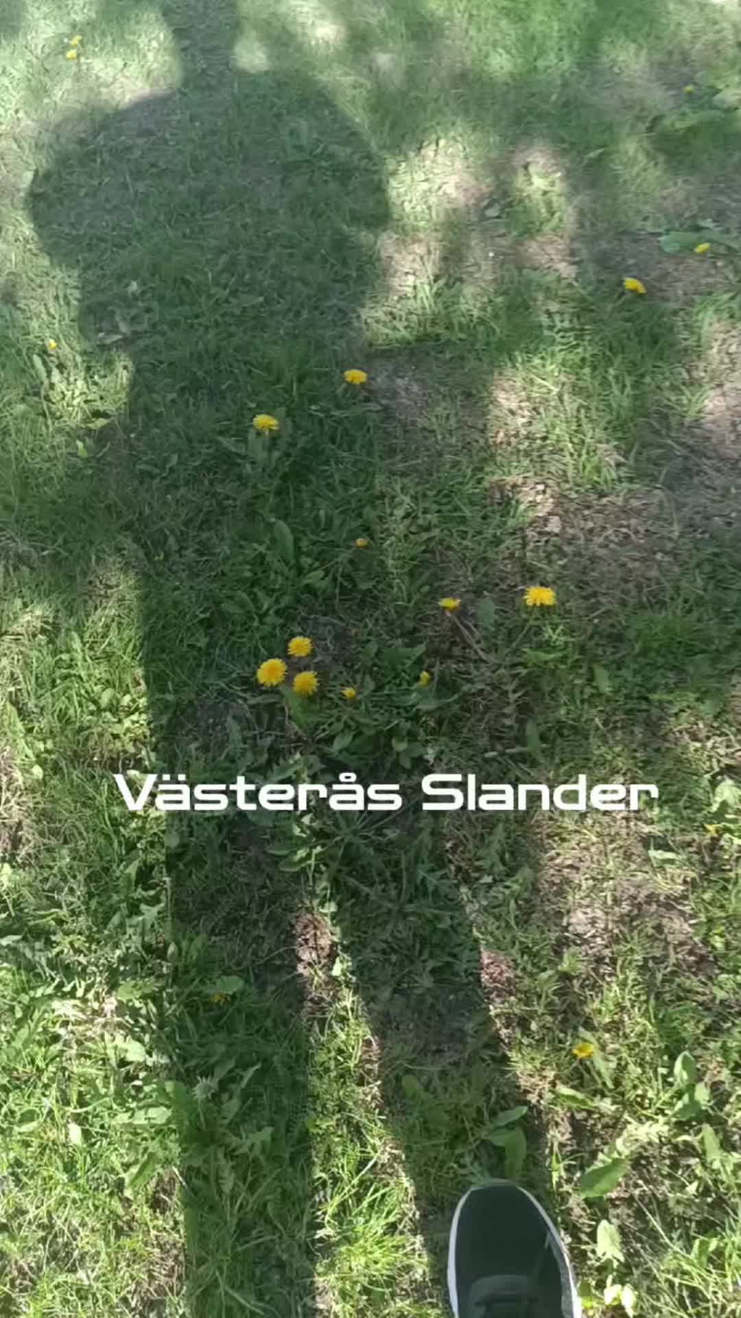 @Vetterstorp Kurden