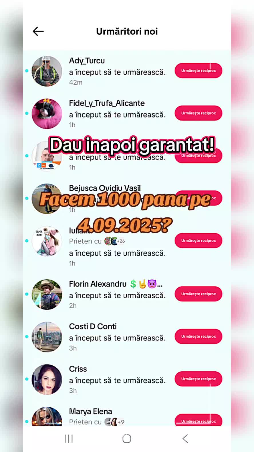 @tatifacebani