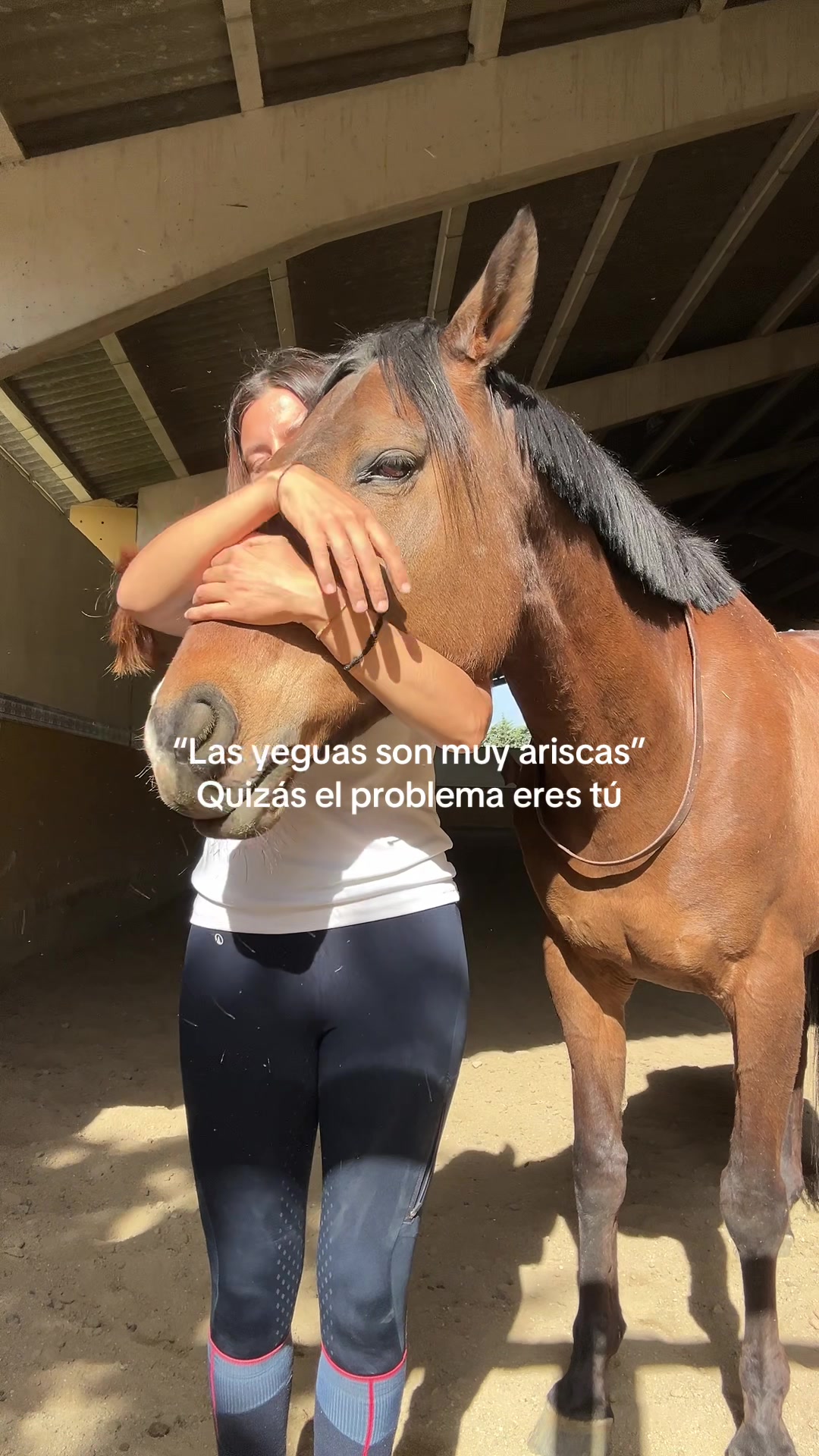 @DiarioOcultoLasPalomas✨