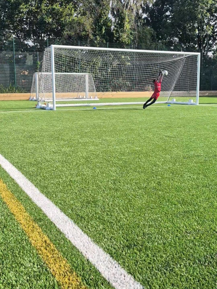 @hodge_gk