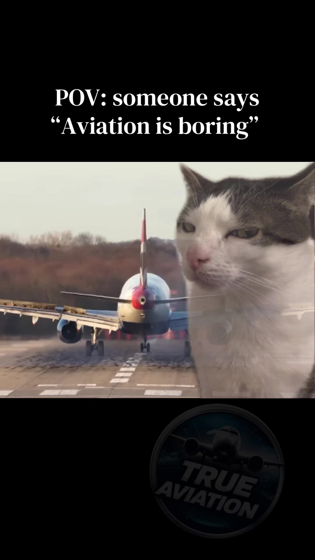 @True Aviation
