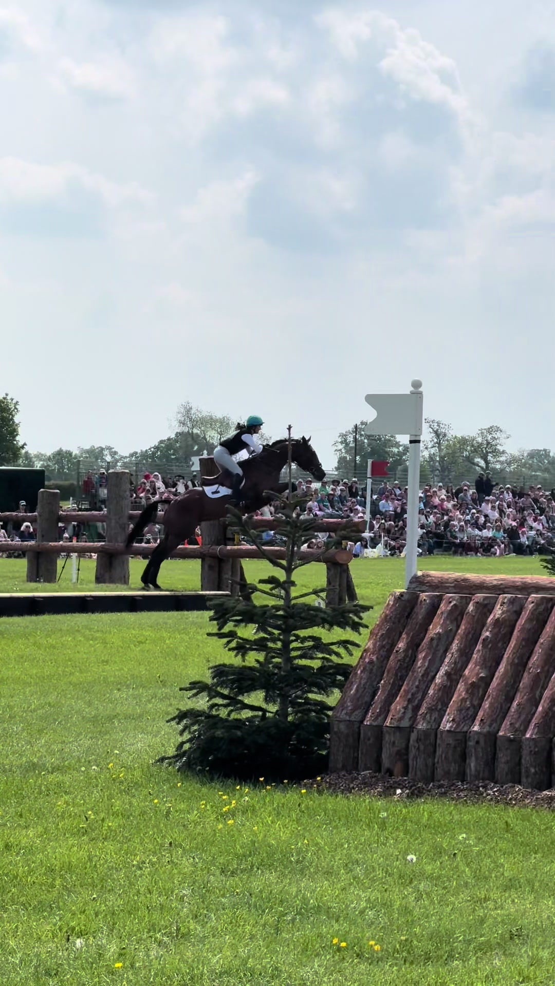 @Protexin Equine