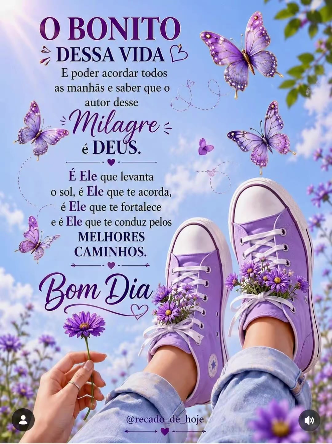 @Matheus Machado Scheibel