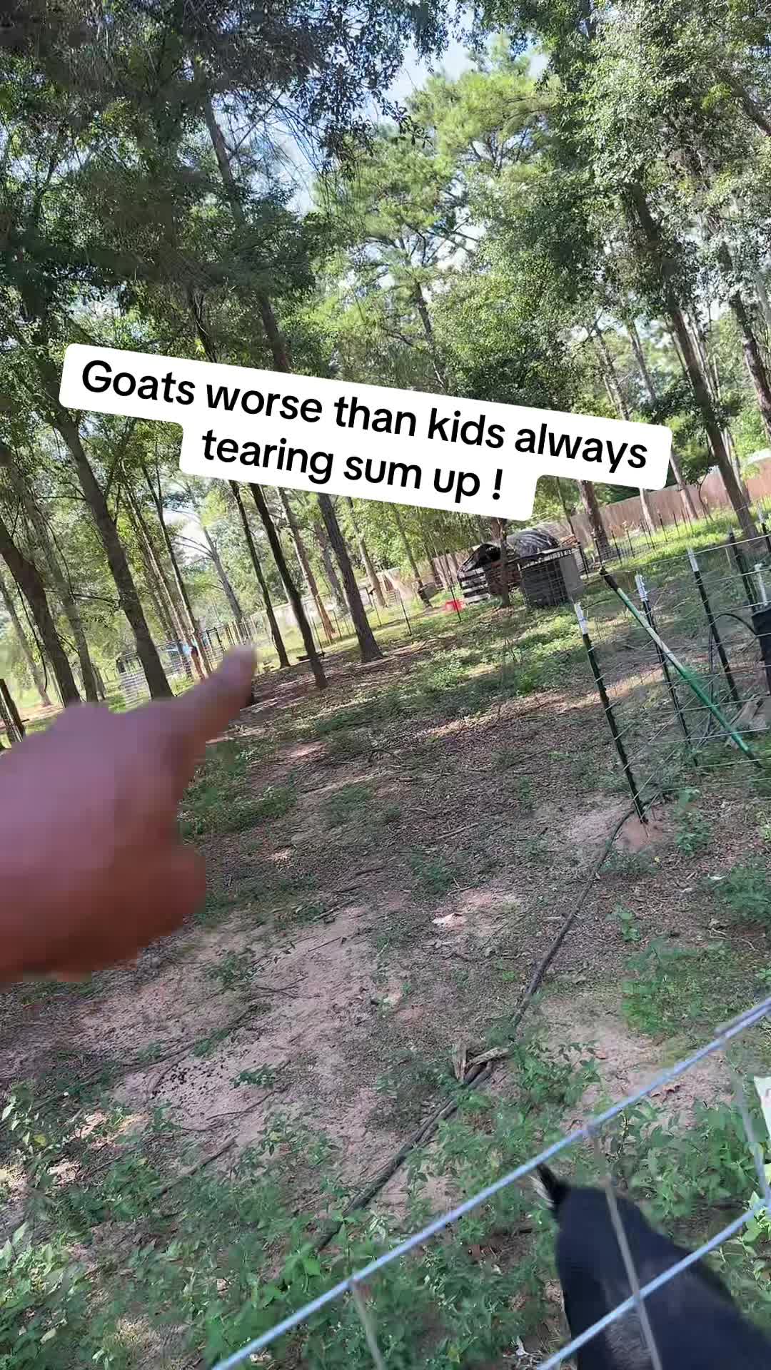 @RastaKountryDream