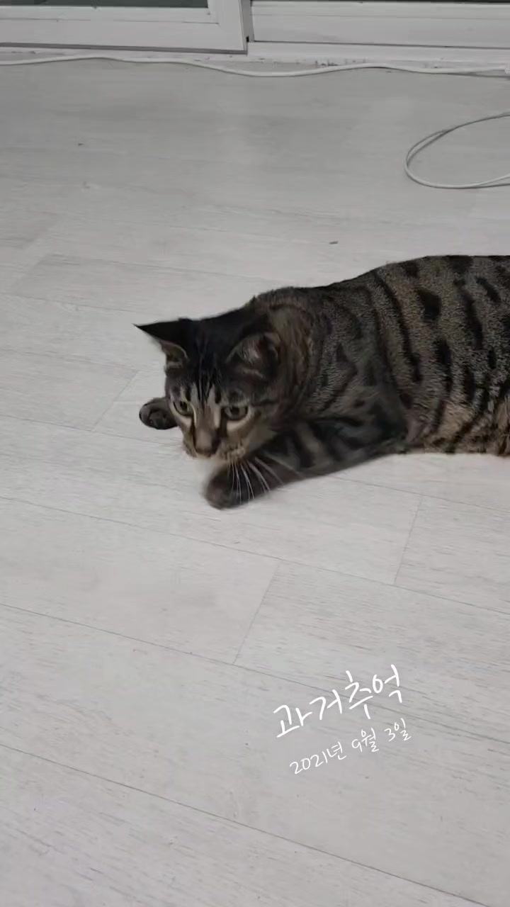 @심심해
