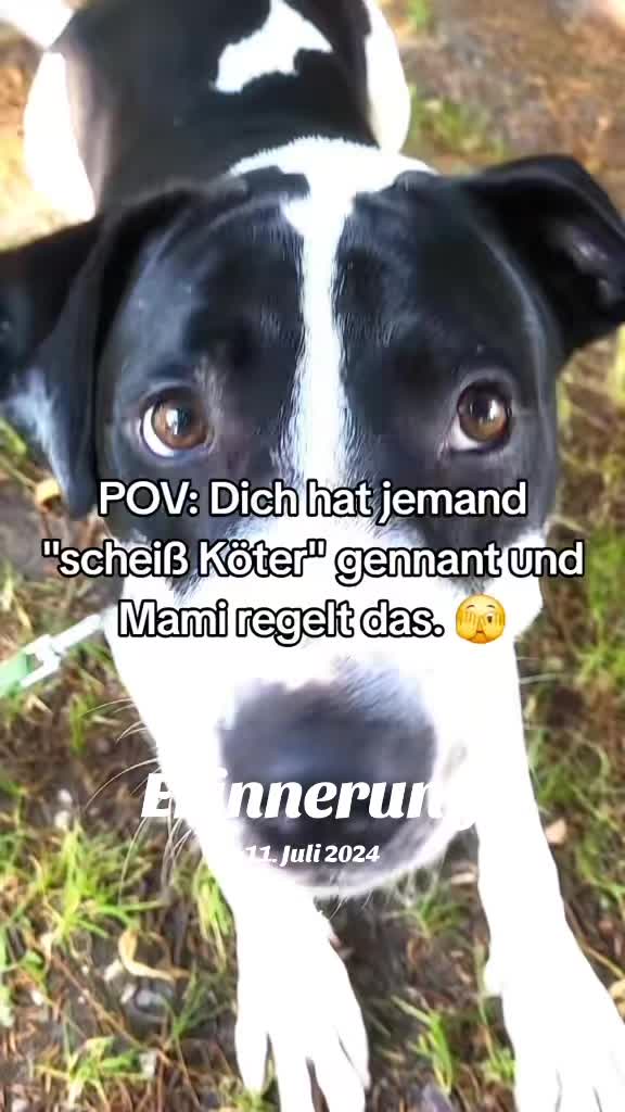 @d3vils_qu33n