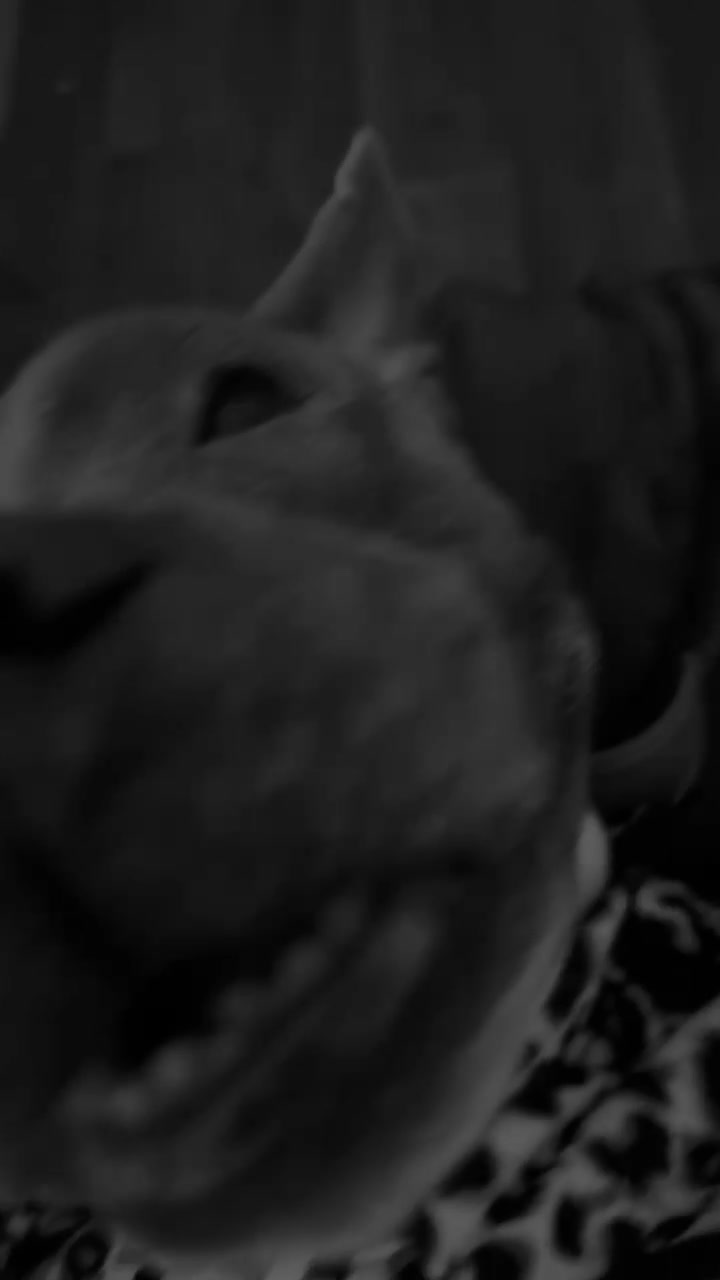 @𝐋𝐈𝐍𝐎𝐒𝐇