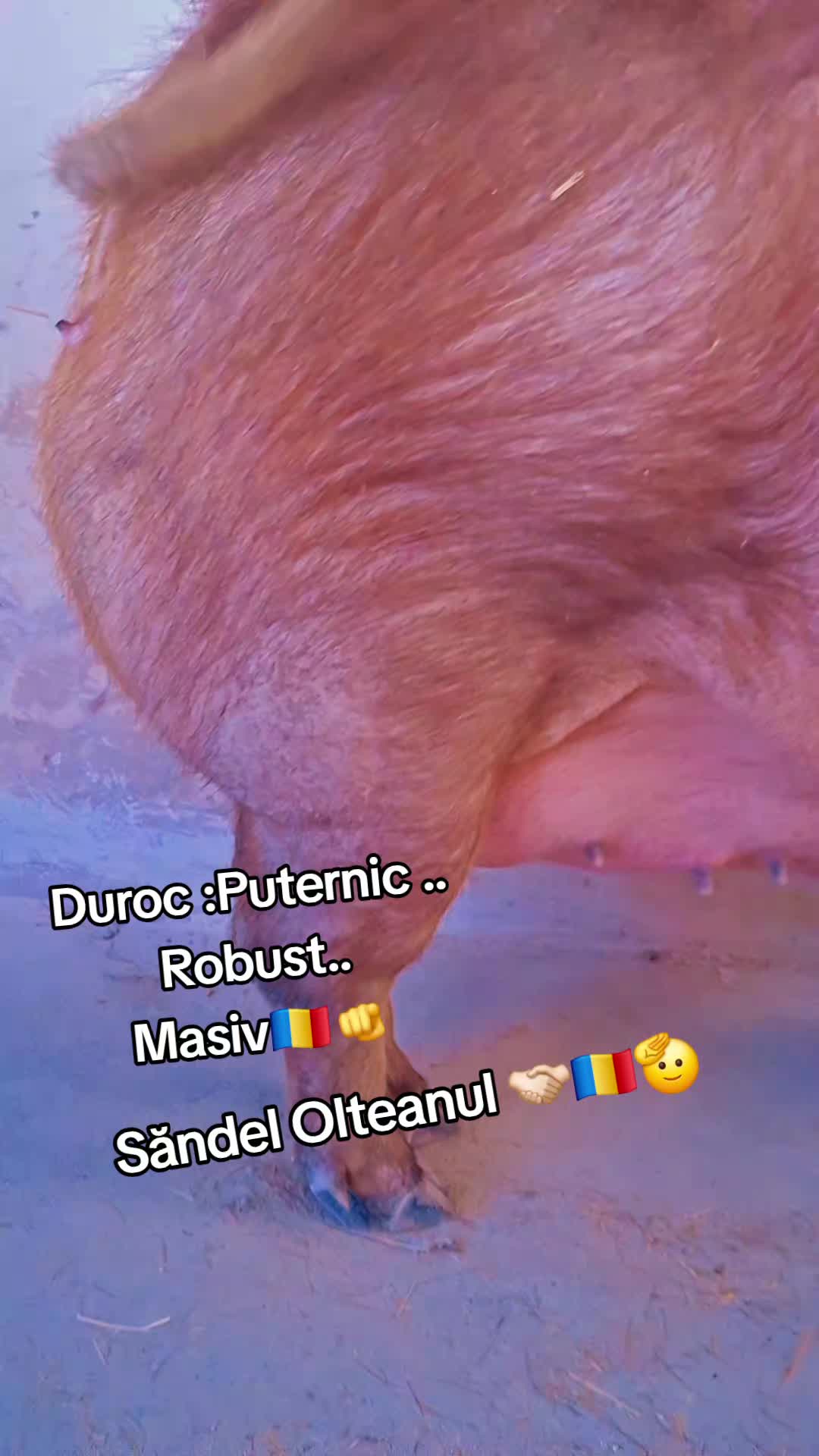 @💎🇷🇴Săndel Olteanul 🇷🇴💎