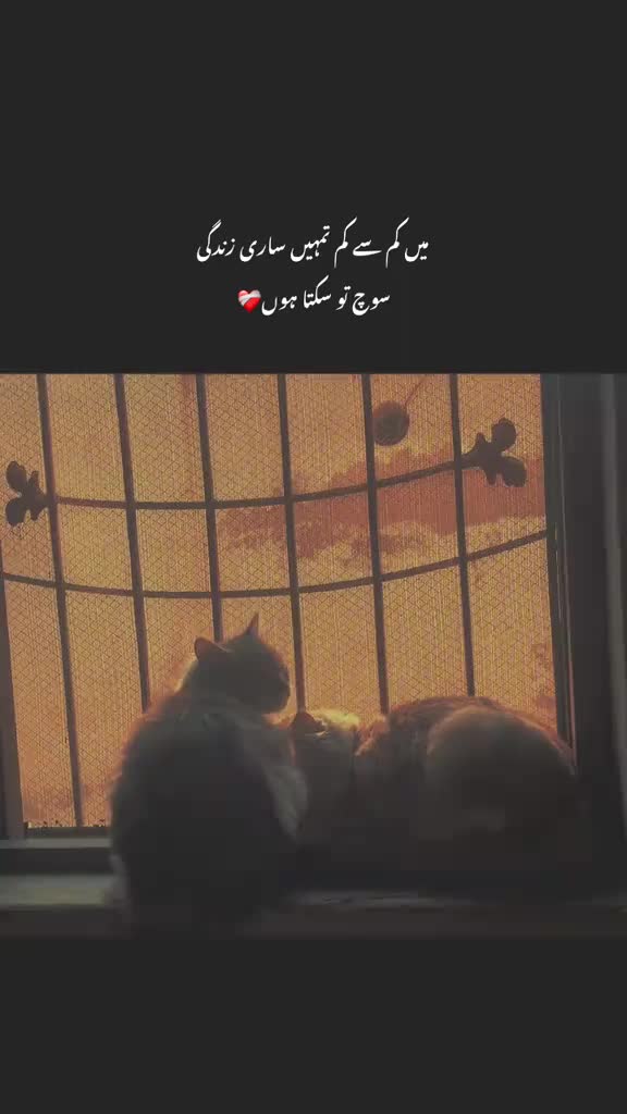 @N a ع e m 👑
