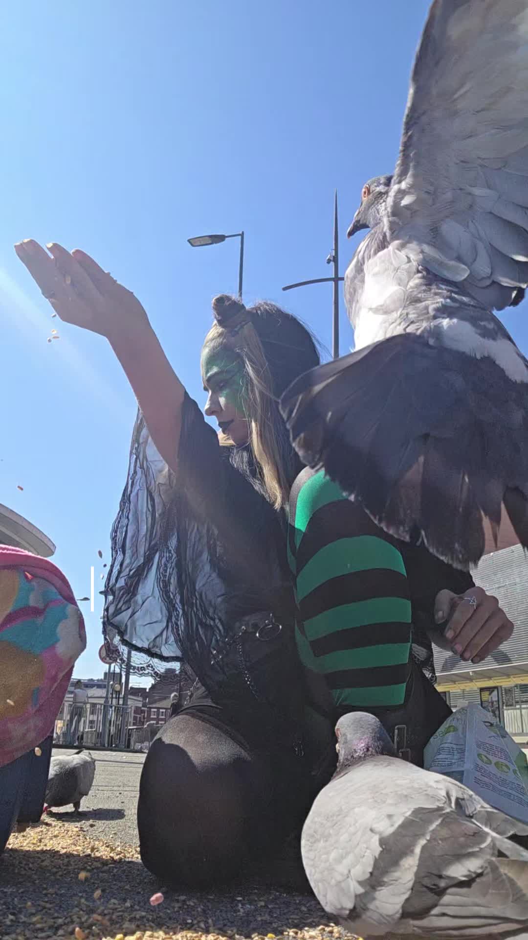 @S.Char.The.Pigeon.Lady🌙🖤Xx