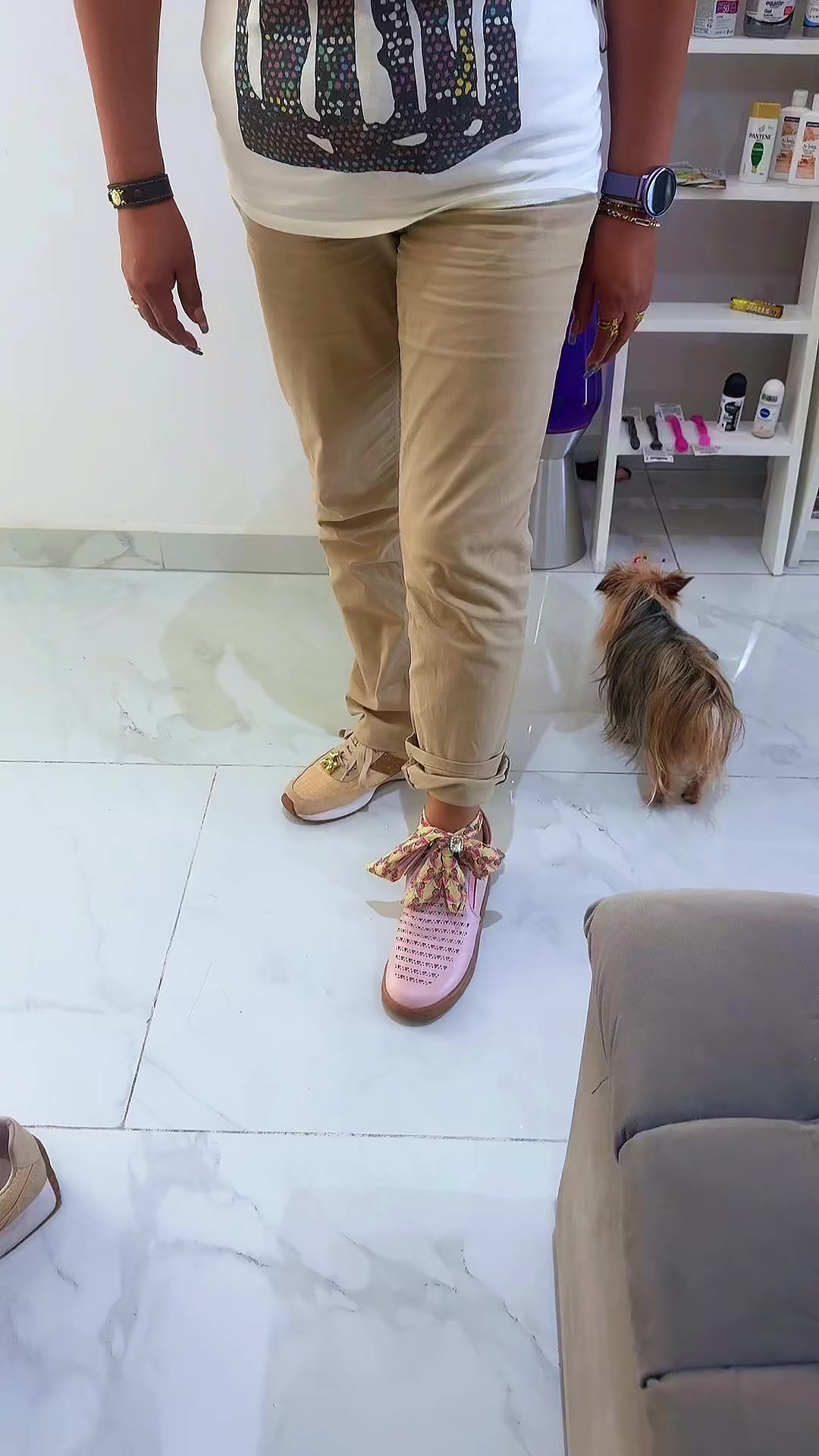 @Zapatos Syslaffitte