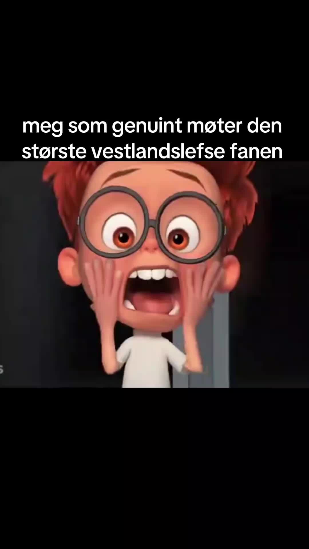 @vestlandslefselover