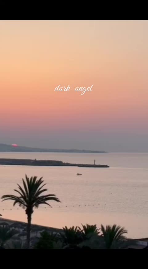 @Dark Angel
