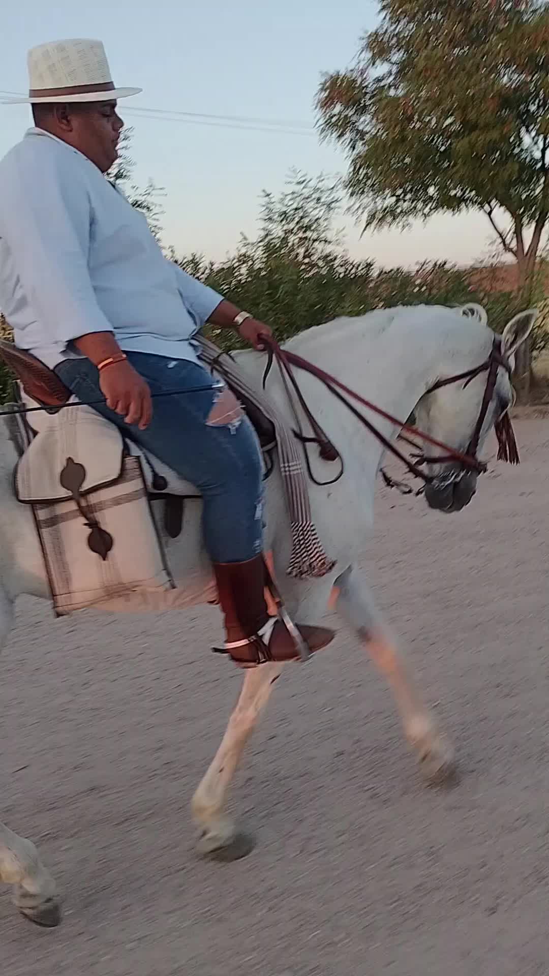 @CUADRA FERN&Aacute;NDEZ 🇦🇿🐎