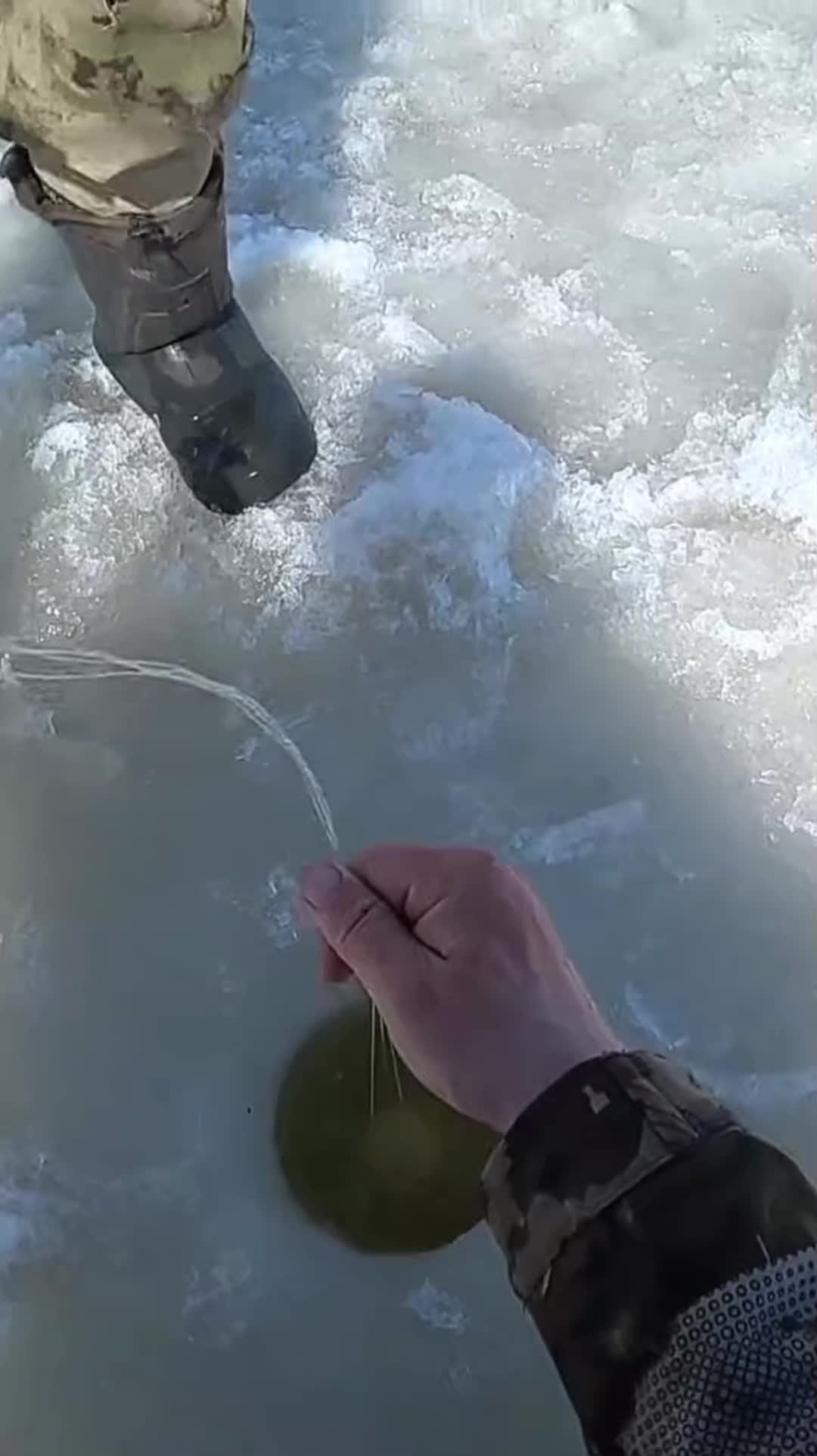 @ribalka_fishing